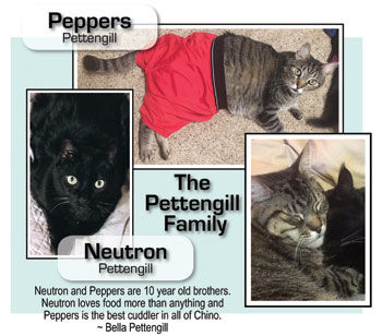 The Pettengill Family
